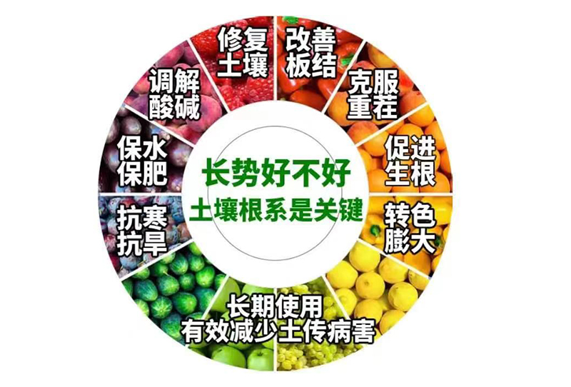講一講腐植酸鉀的特征